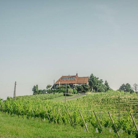 Taverna & Wine Jeruzalem Ivanjkovci Εξωτερικό φωτογραφία